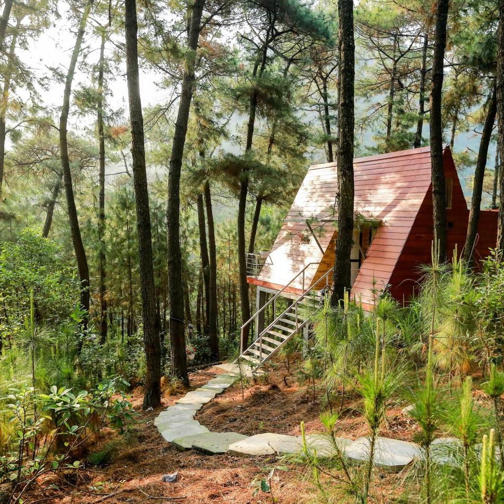 Cat Ba Eco Lodge
