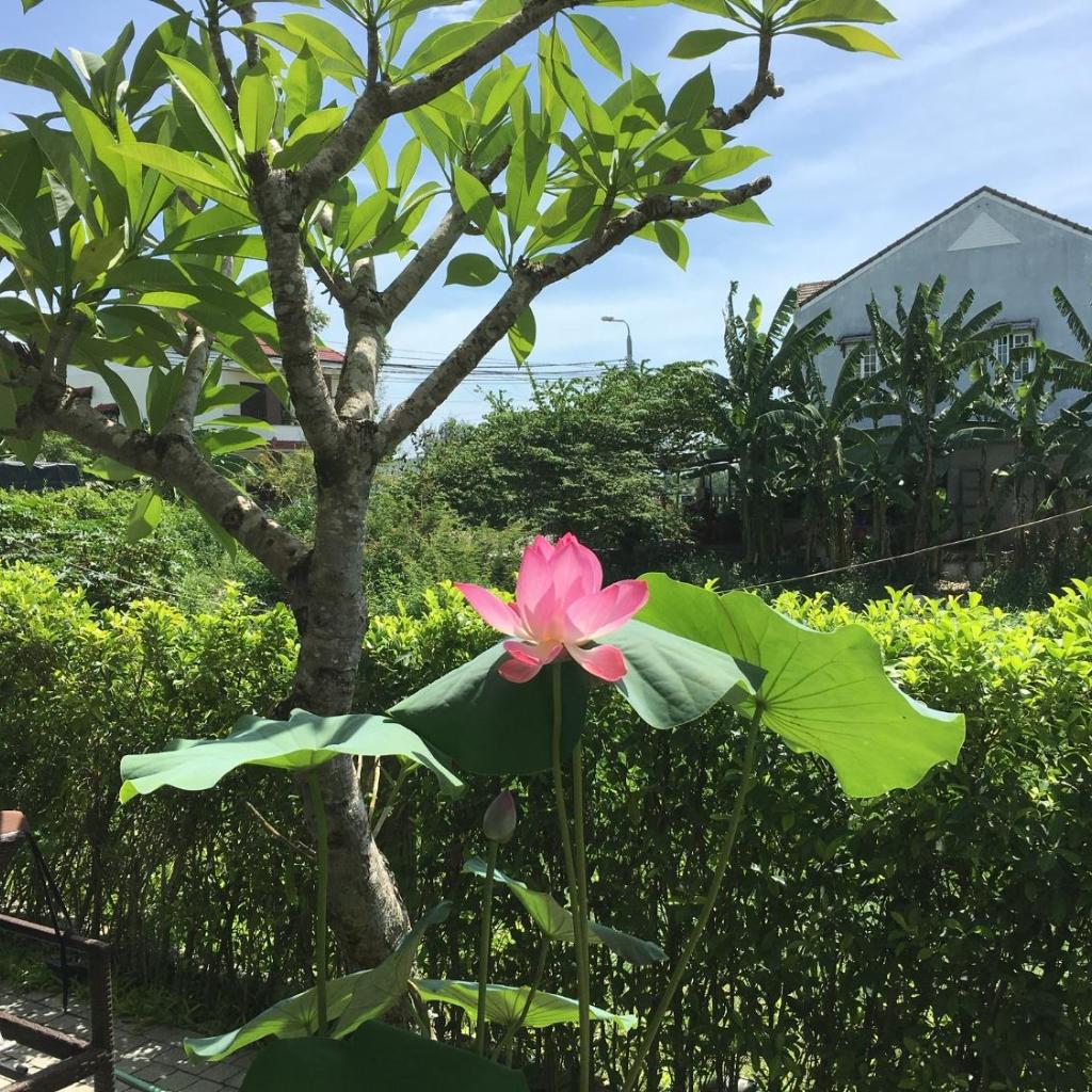 ZEN Boutique Hoi An - Eco-Friendly Villa