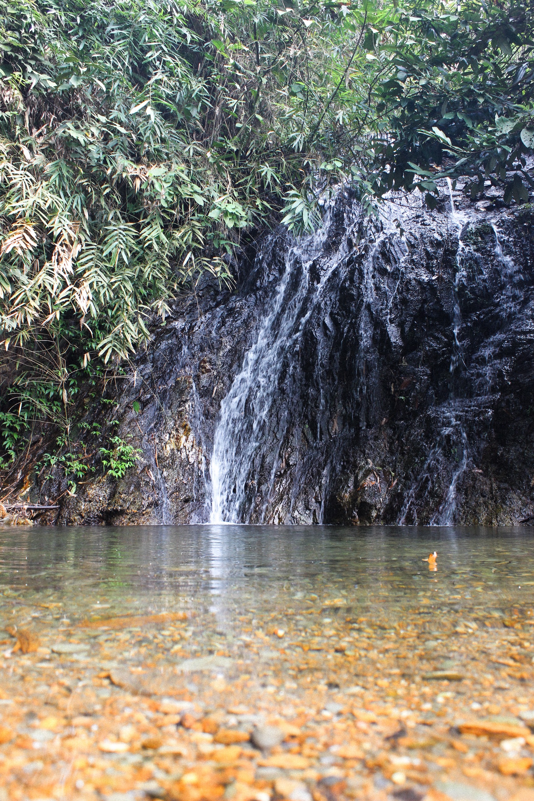 Trekking Tour