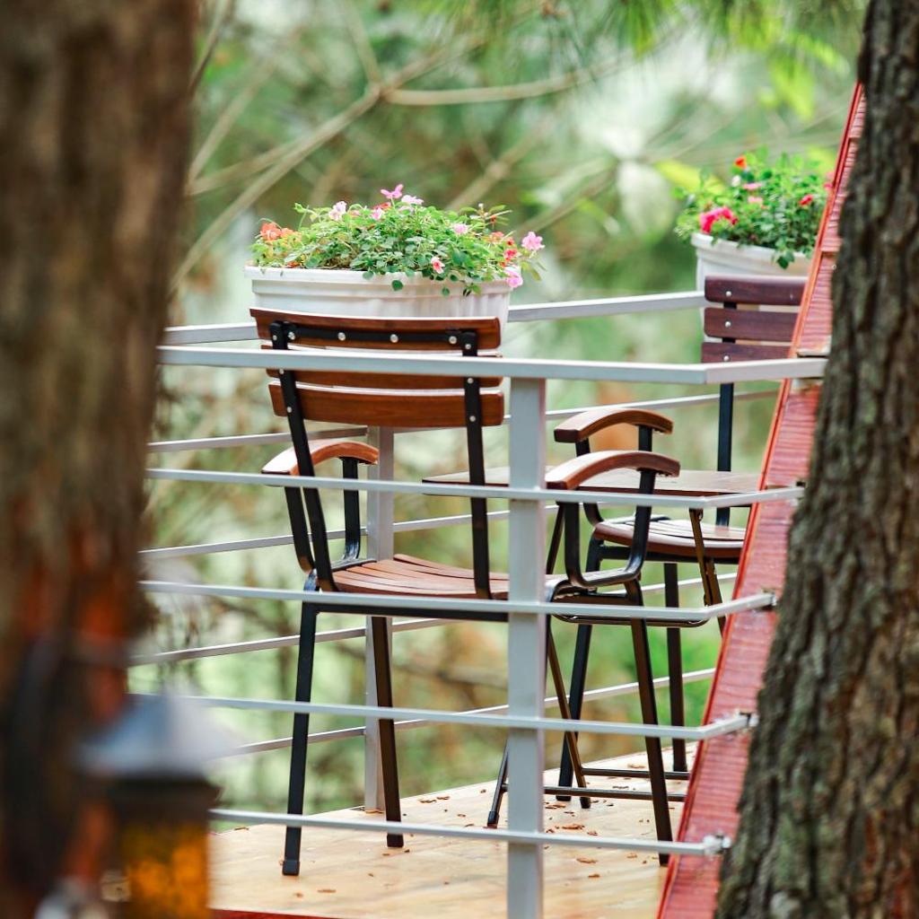 Cat Ba Eco Lodge