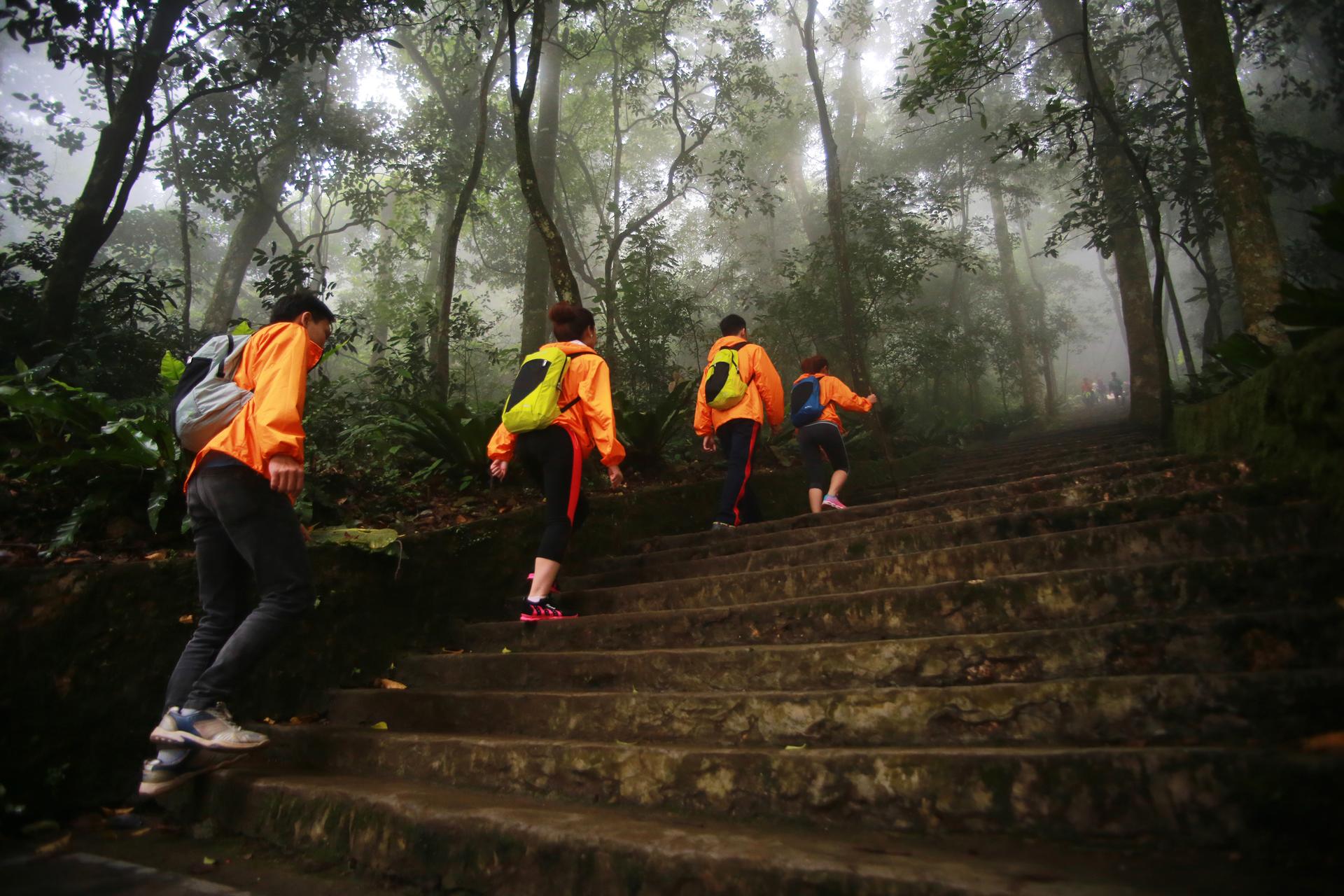 Trekking Tour