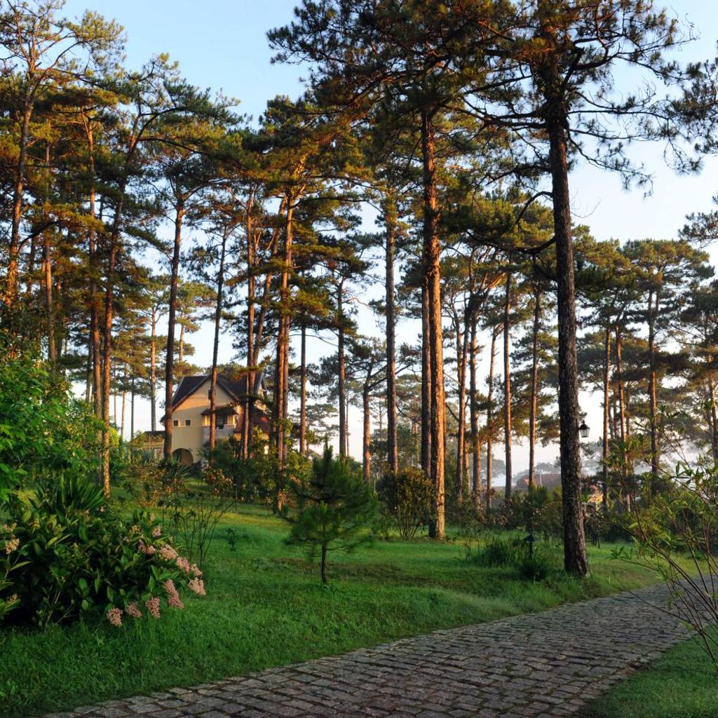 Ana Mandara Villas Dalat Resort & Spa