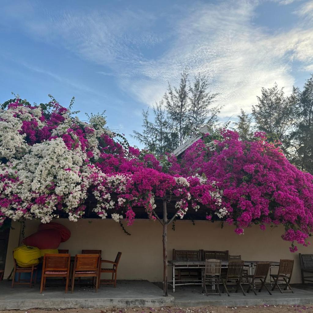 Orchid Boutique Beach Resort