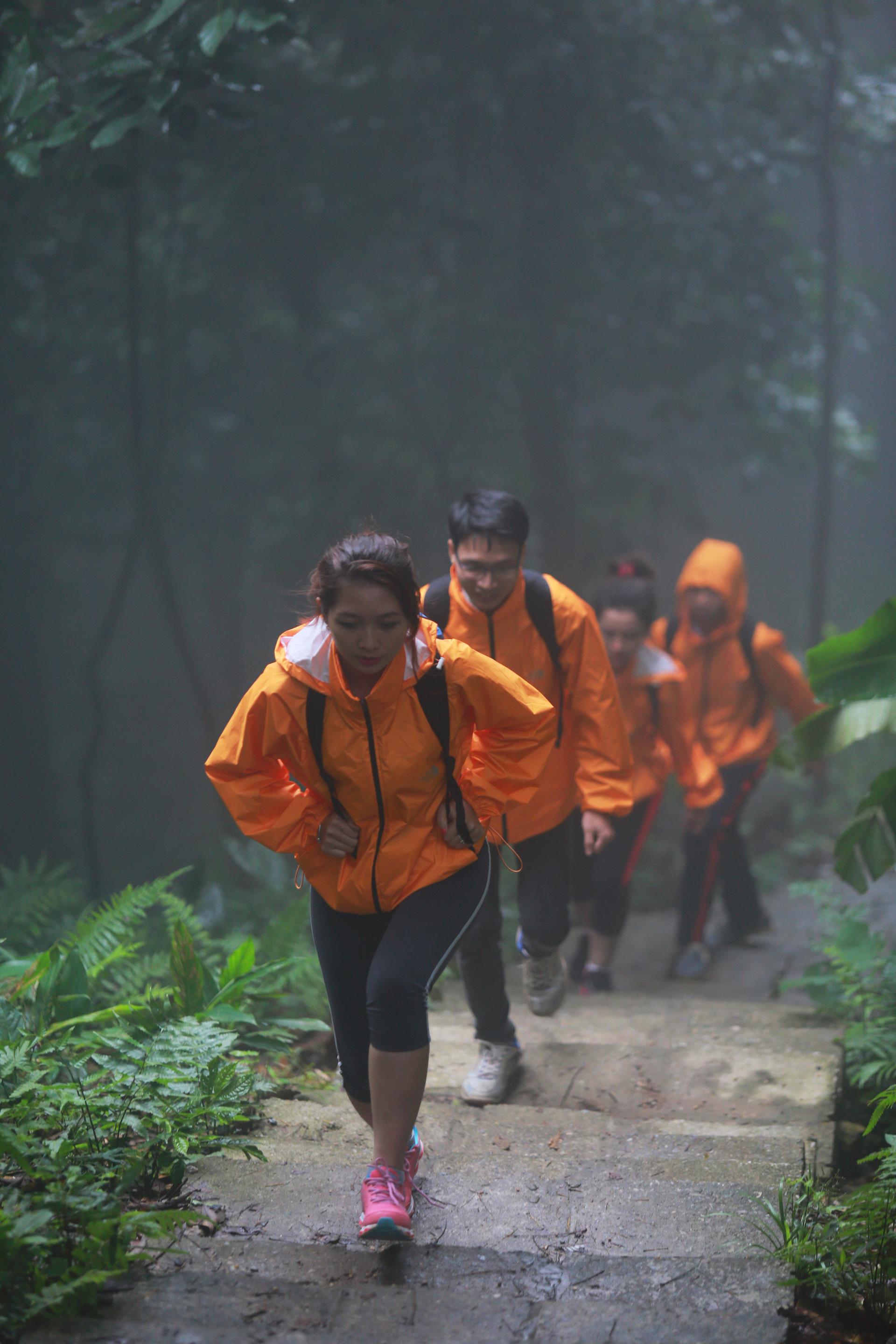 Trekking Tour