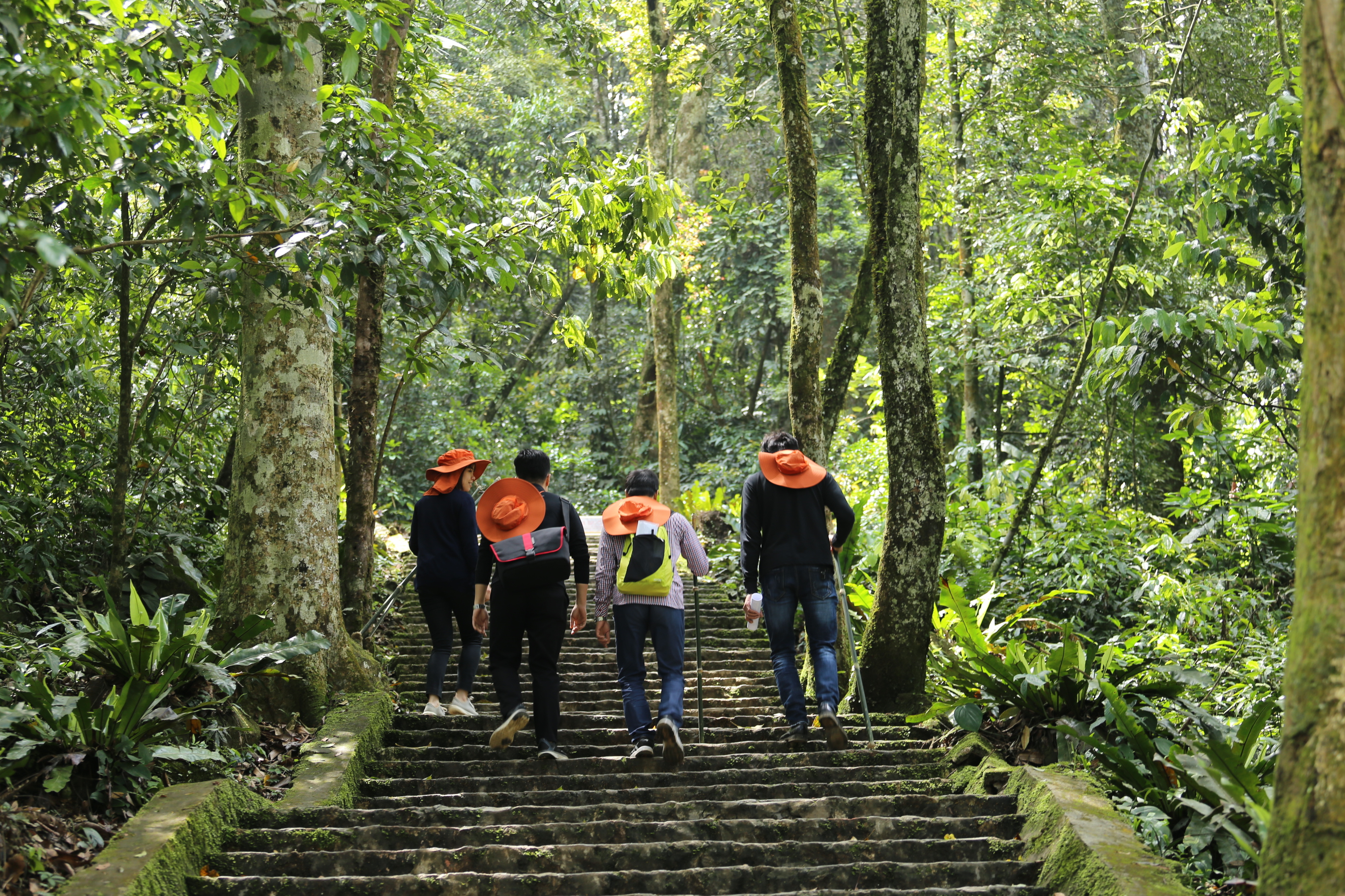 Trekking Tour